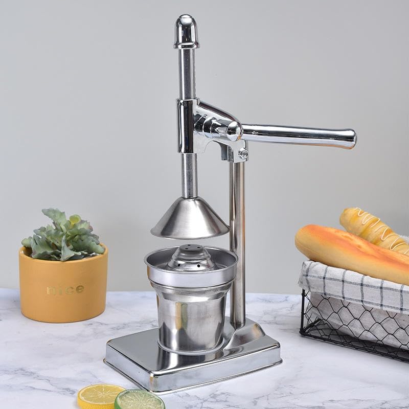 Fruit Juicer