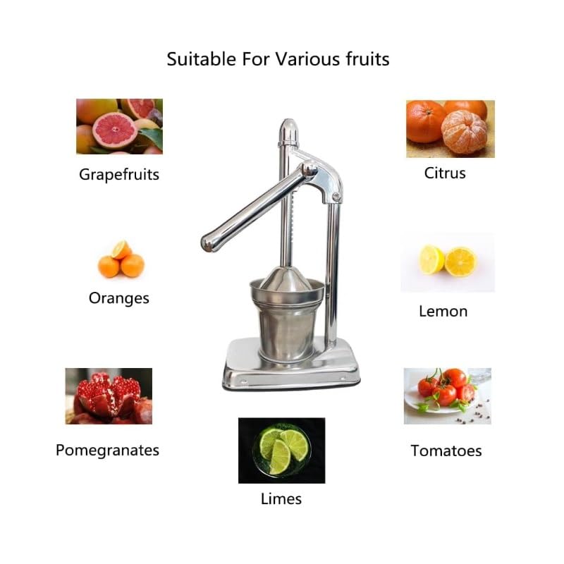 Fruit Juicer