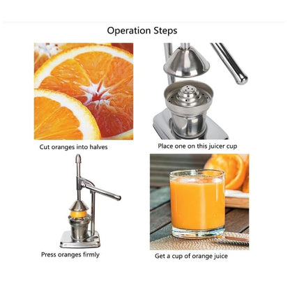 Fruit Juicer