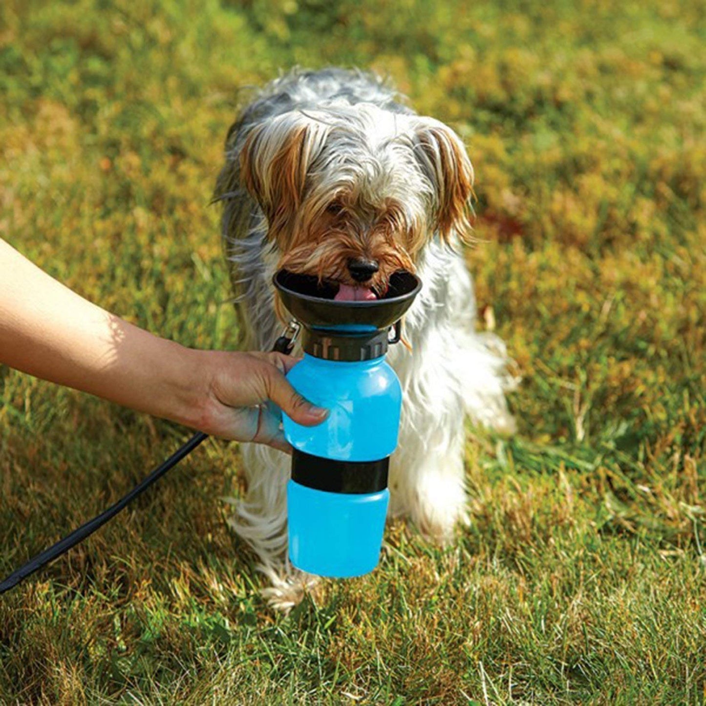 Portable smart Water Bowl Bottle for pet 350 ml