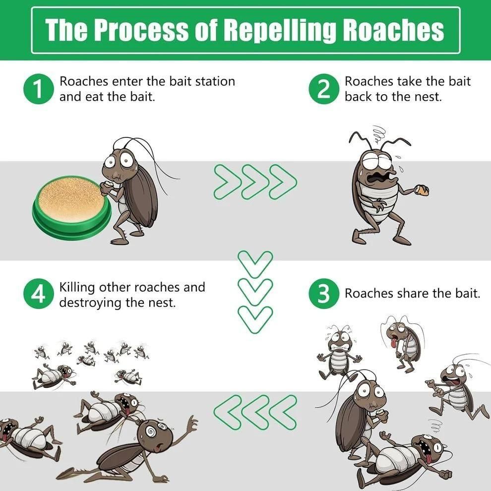 Cockroach repellent gel (12 Pieces per pack)